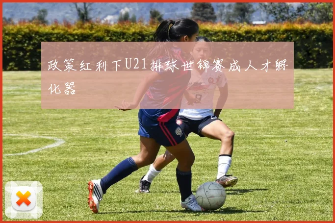 政策红利下U21排球世锦赛成人才孵化器