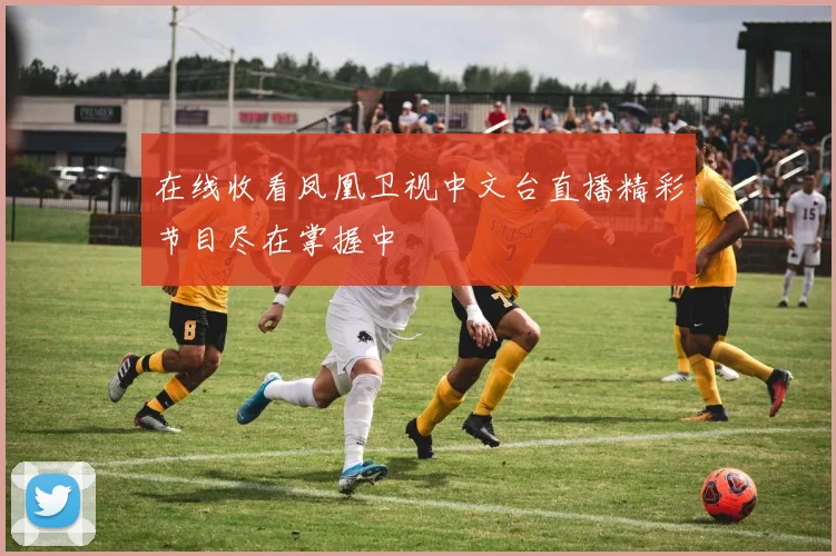 在线收看凤凰卫视中文台直播精彩节目尽在掌握中