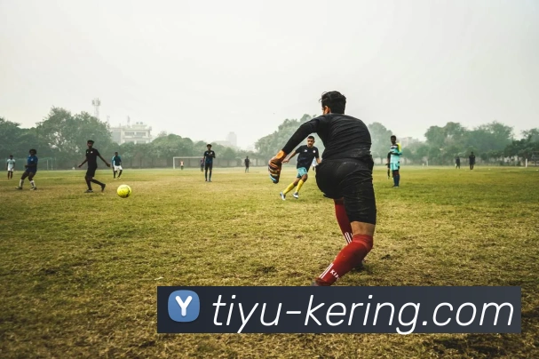 开云平台生态图