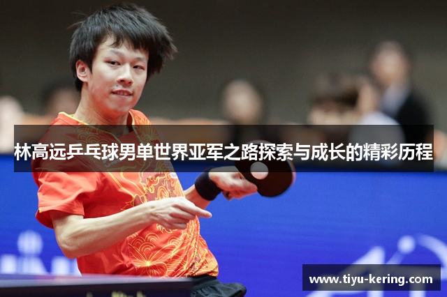 林高远乒乓球男单世界亚军之路探索与成长的精彩历程