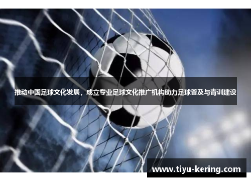 推动中国足球文化发展，成立专业足球文化推广机构助力足球普及与青训建设