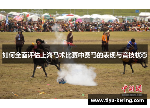 如何全面评估上海马术比赛中赛马的表现与竞技状态
