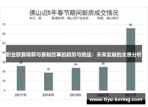 职业联赛降薪与赛制改革的趋势与挑战：未来发展的全景分析
