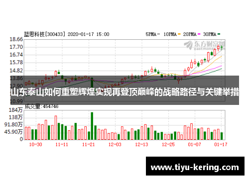 山东泰山如何重塑辉煌实现再登顶巅峰的战略路径与关键举措