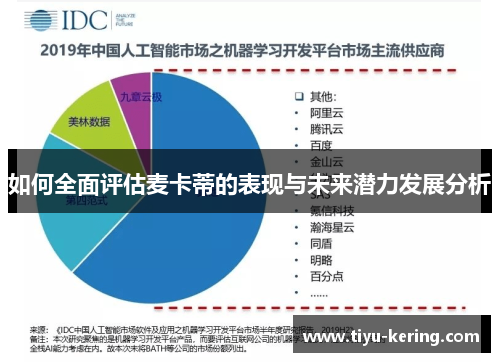 如何全面评估麦卡蒂的表现与未来潜力发展分析