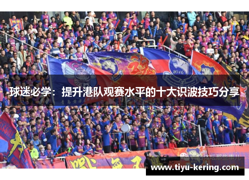 球迷必学：提升港队观赛水平的十大识波技巧分享