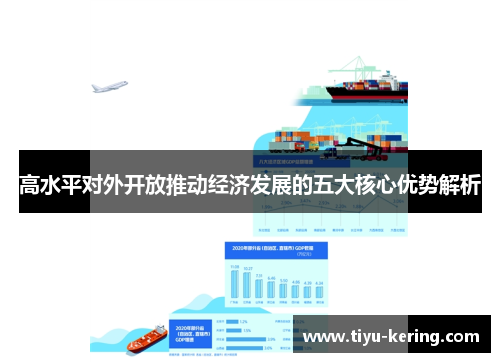 高水平对外开放推动经济发展的五大核心优势解析